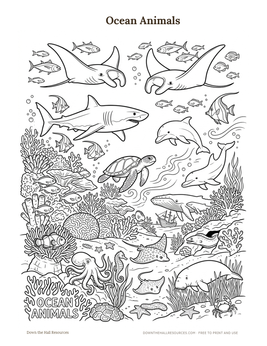 Ocean Animals worksheet preview