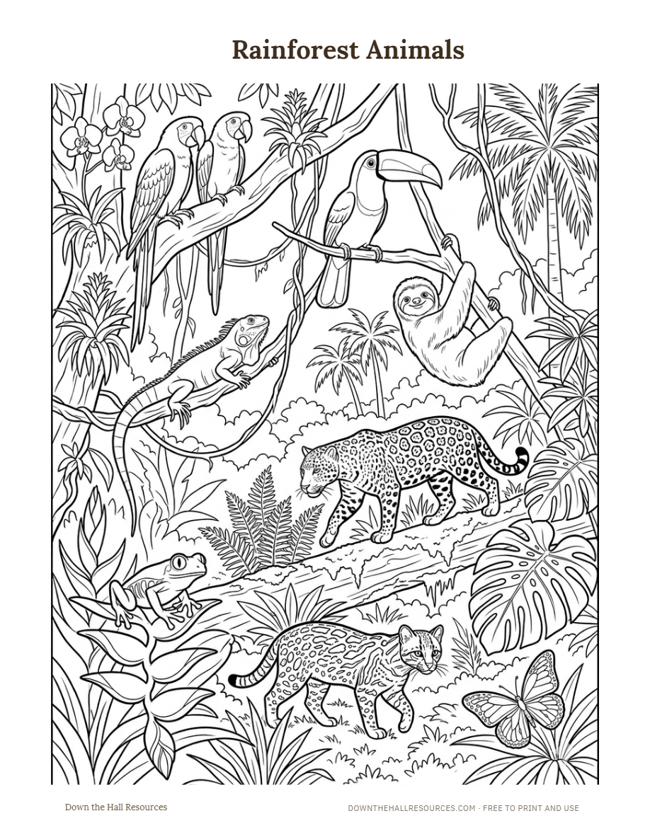 Preview of the Rainforest Animals printable worksheet