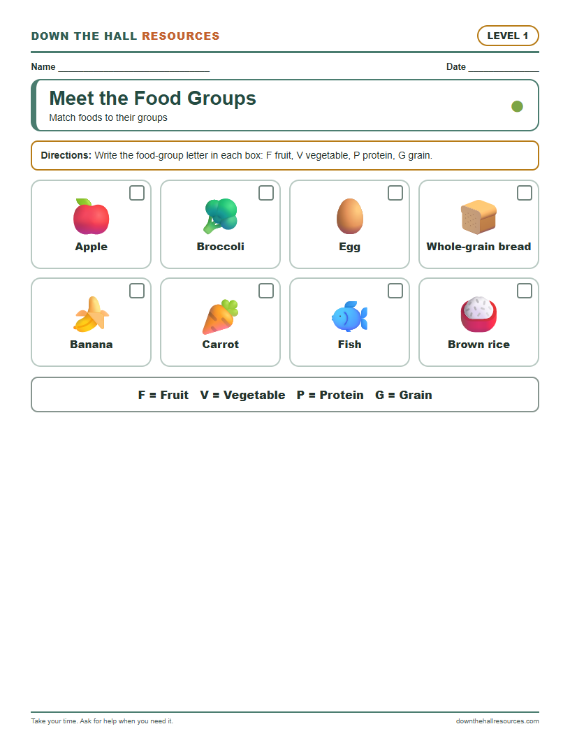 Meet the Food Groups - Level 1 worksheet preview