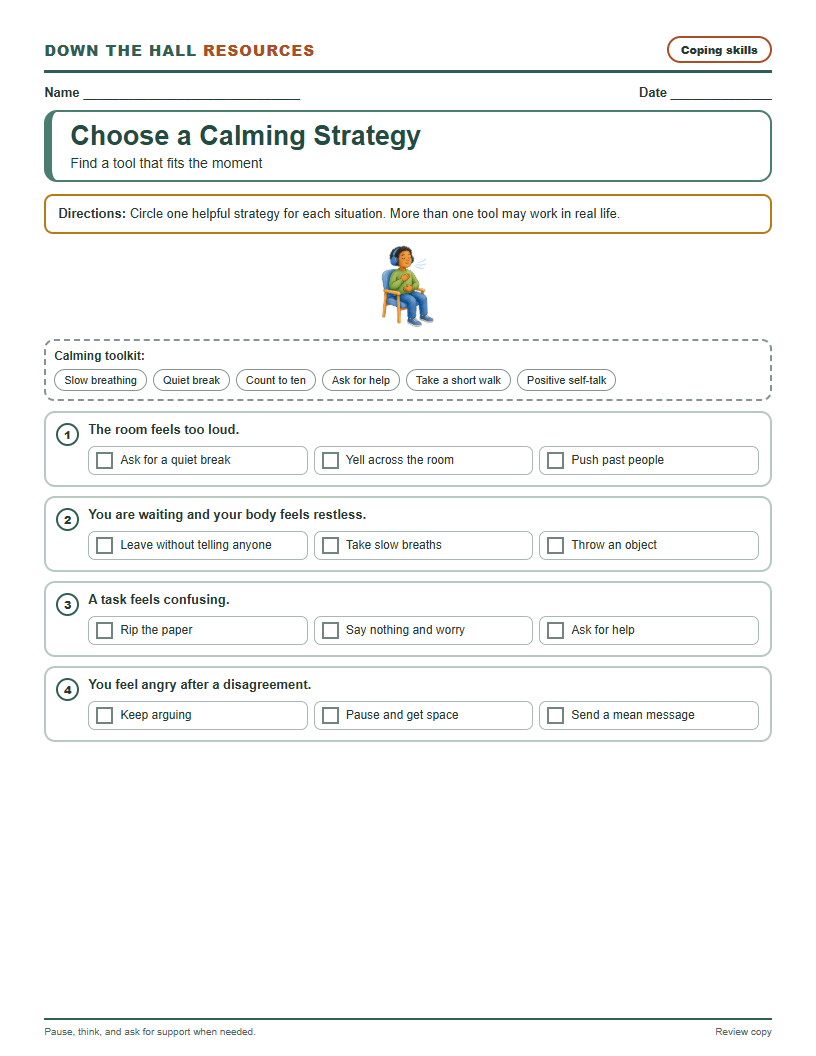Choose a Calming Strategy worksheet preview
